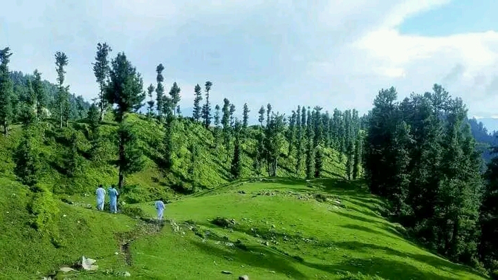 Darbar Hunza 4 Days 3 Nights Tour From Islamabad