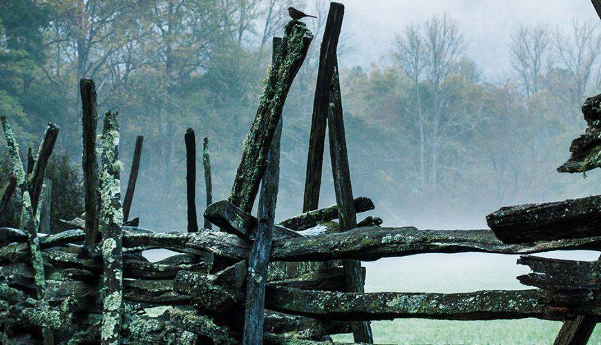 Our Honeymoon Adventure in Skardu